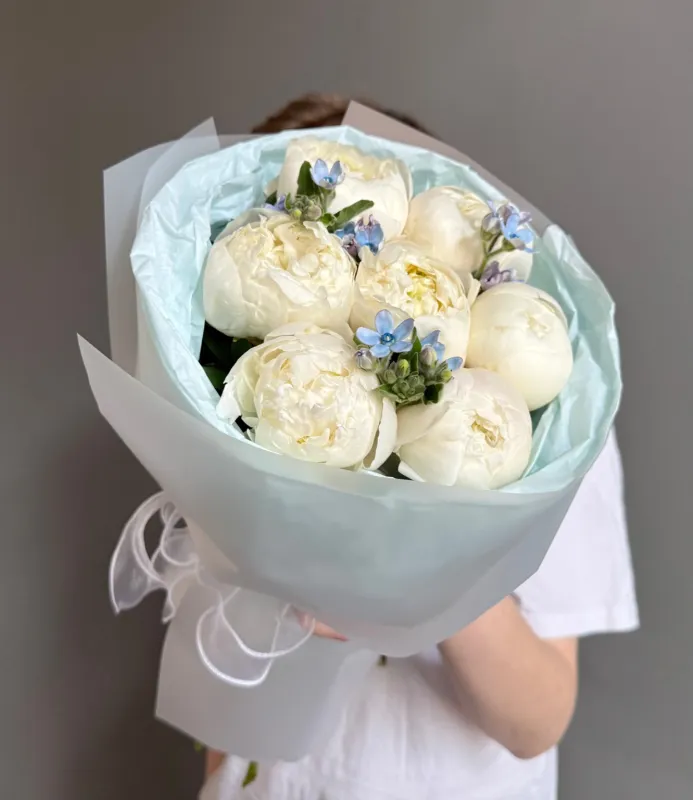 Ivory Whisper Pion (M)