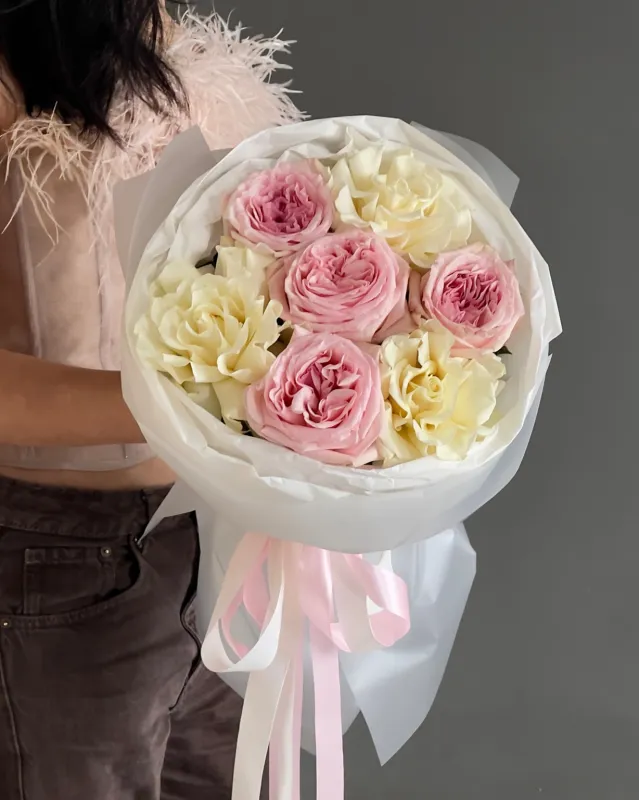 Blush Harmony 3 (S)