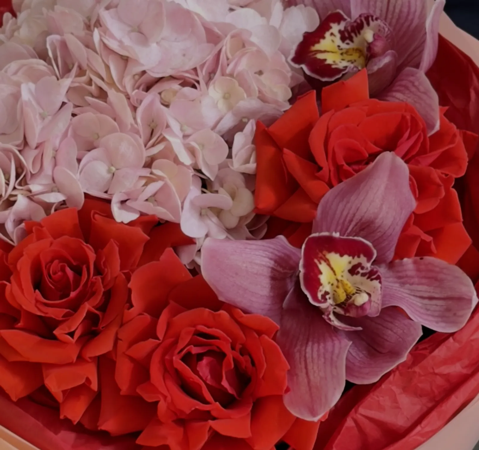 Scarlet Tenderness