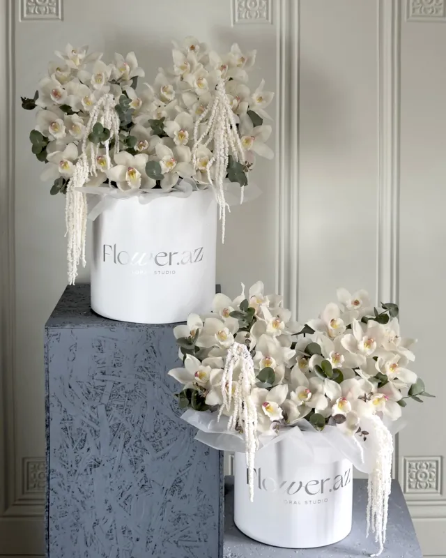 White Orchid Cloud – Премиальная композиция в коробке