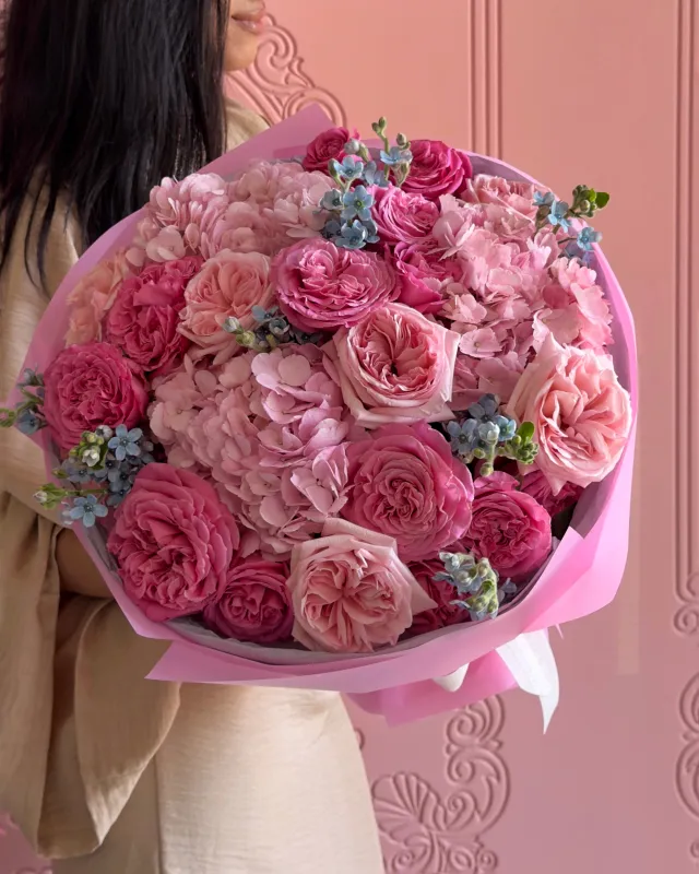 Hydrangea 3, Pink O`hara 7, Pink Passion 5, Oxypetalum7