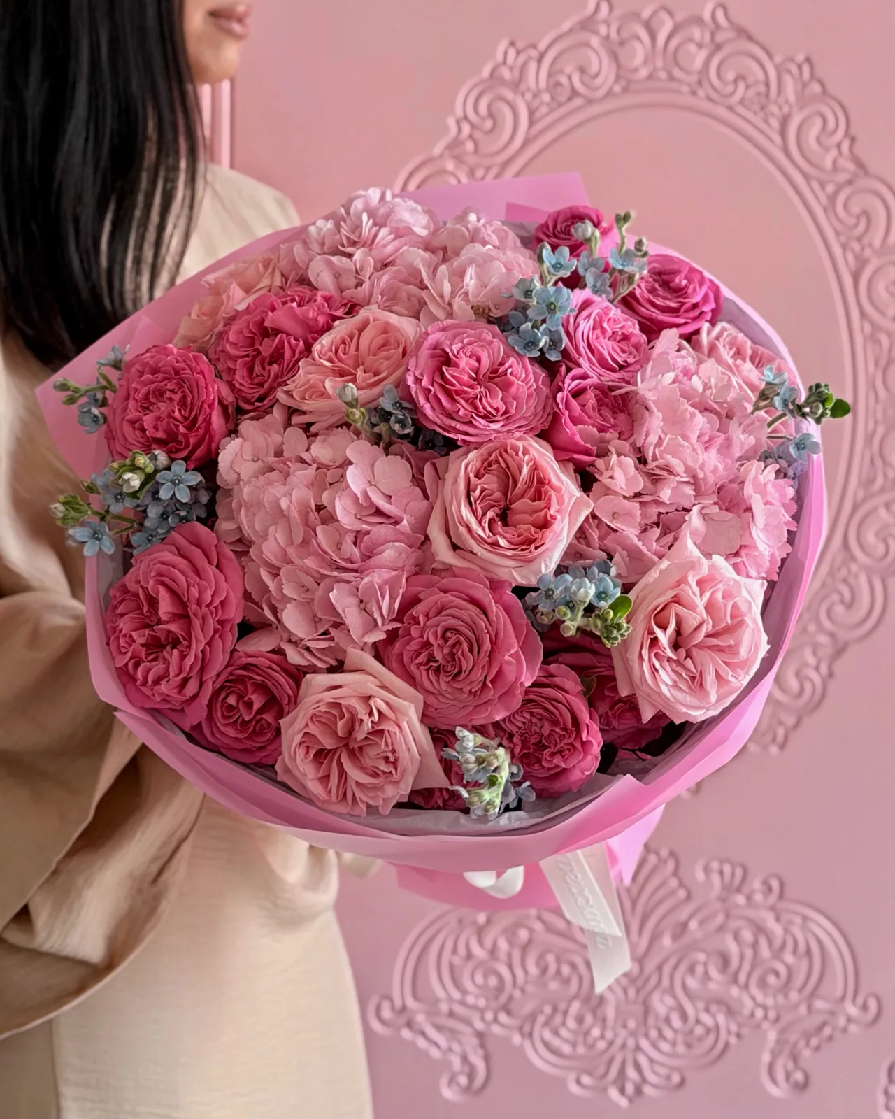 Hydrangea 3, Pink O`hara 7, Pink Passion 5, Oxypetalum7