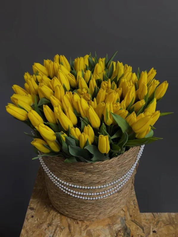 Golden Soleil