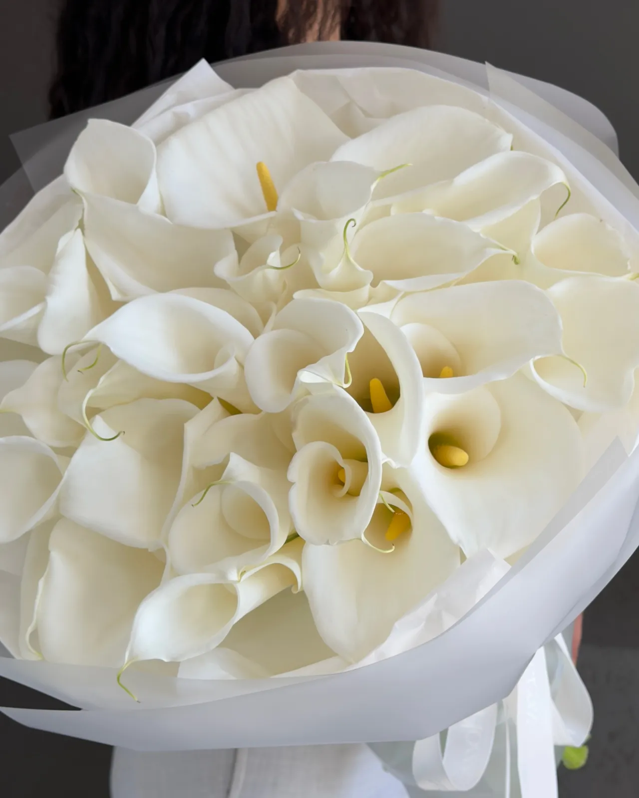 33 Ivory Calla