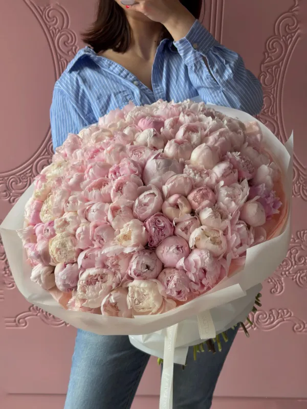 Blush Majesty — 101 Пион