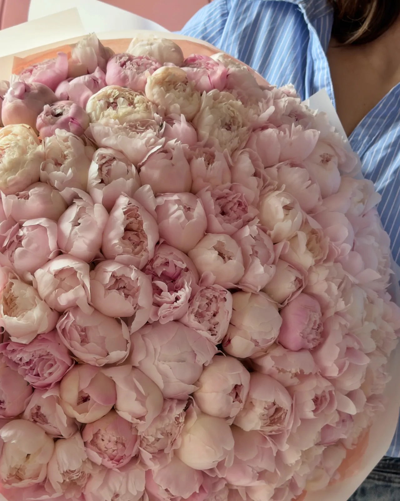 Blush Majesty — 101 Пион