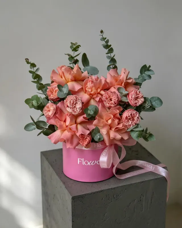 Coral Maison