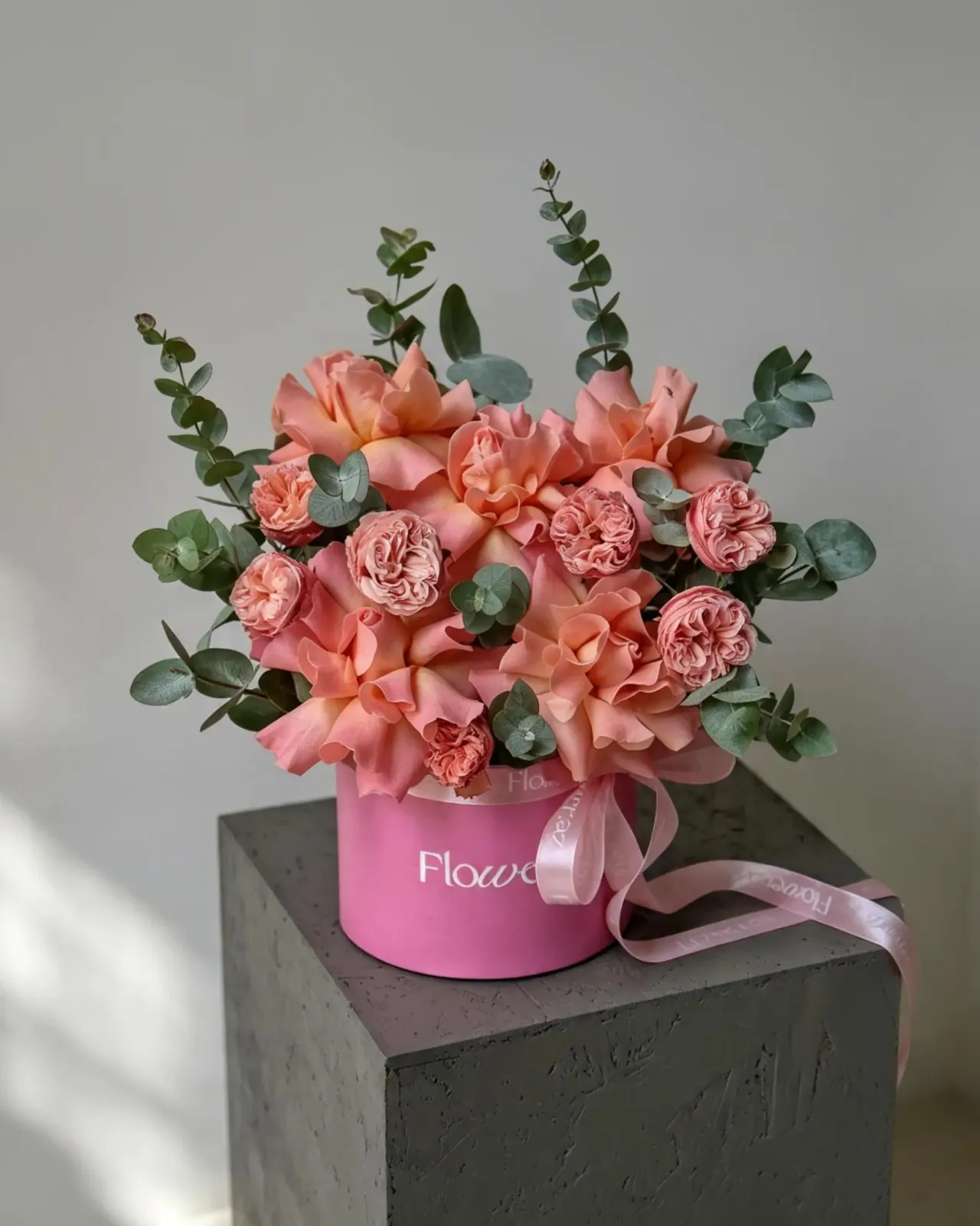 Coral Maison