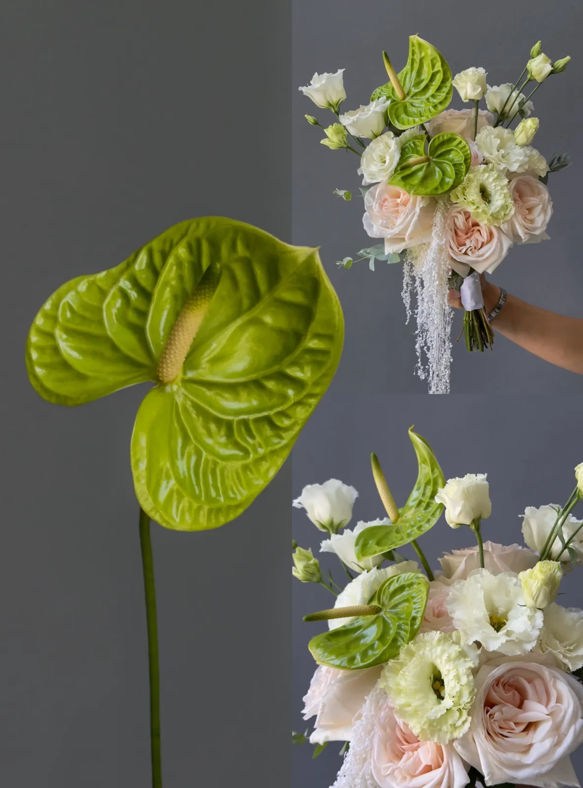 Ivory Vow