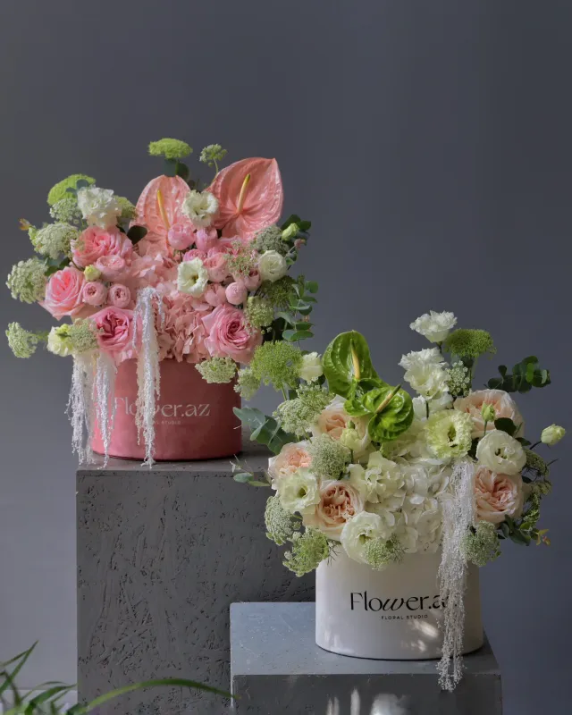 Bloom Élan