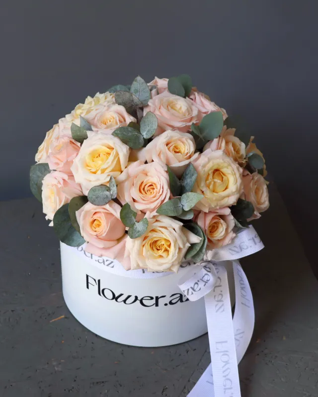 Champagne Blush