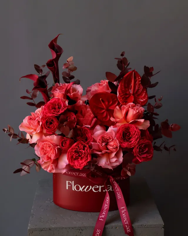 Scarlet Opéra