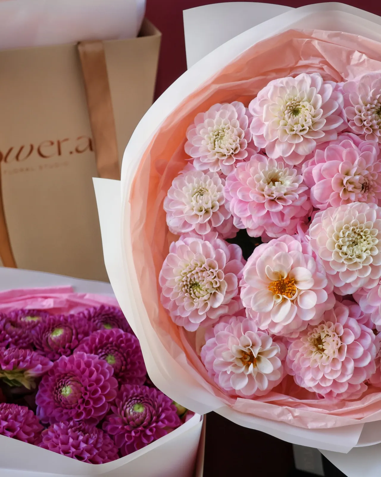 Blush Dahlia