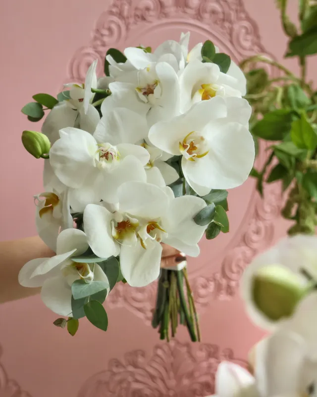 White Orchid Bride