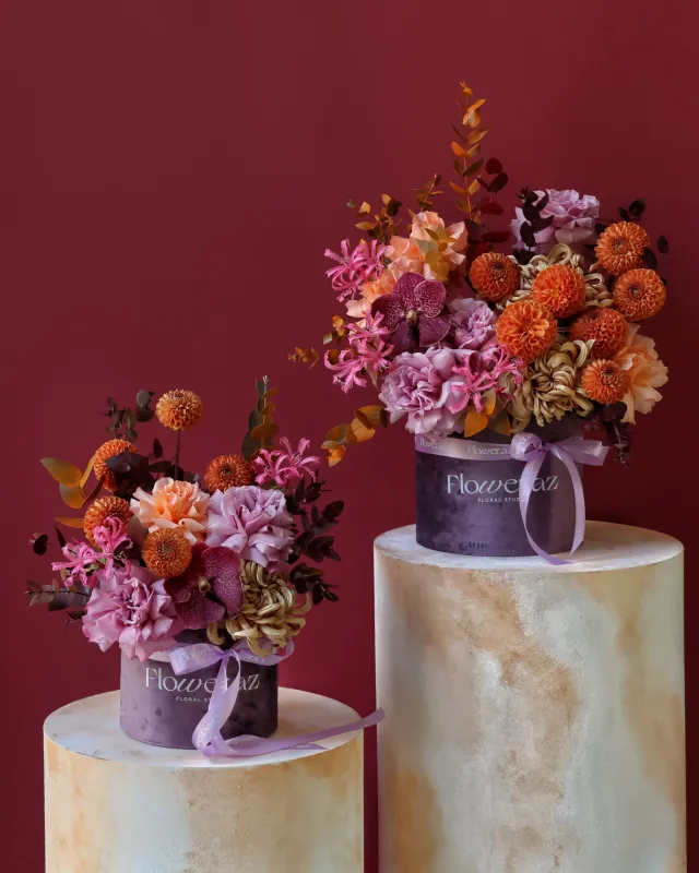 Autumn Velvet