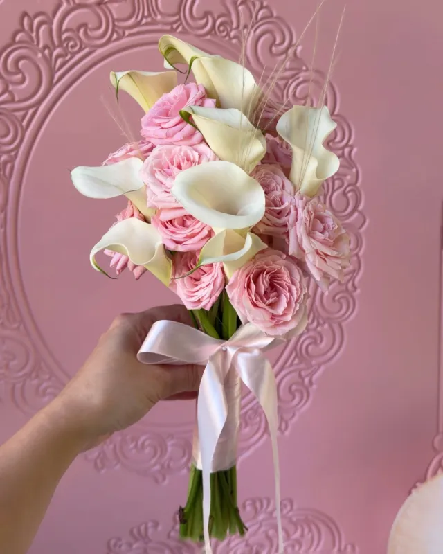 Blush Calla
