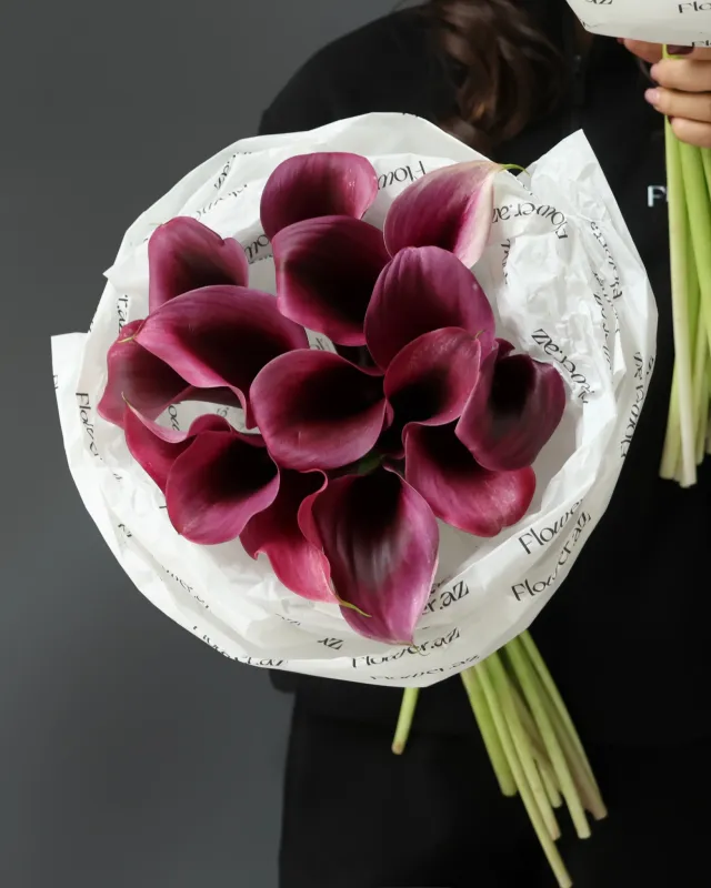 Burgundy Calla