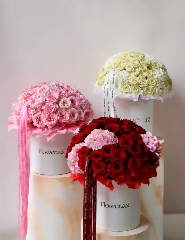 Rose Harmony Collection