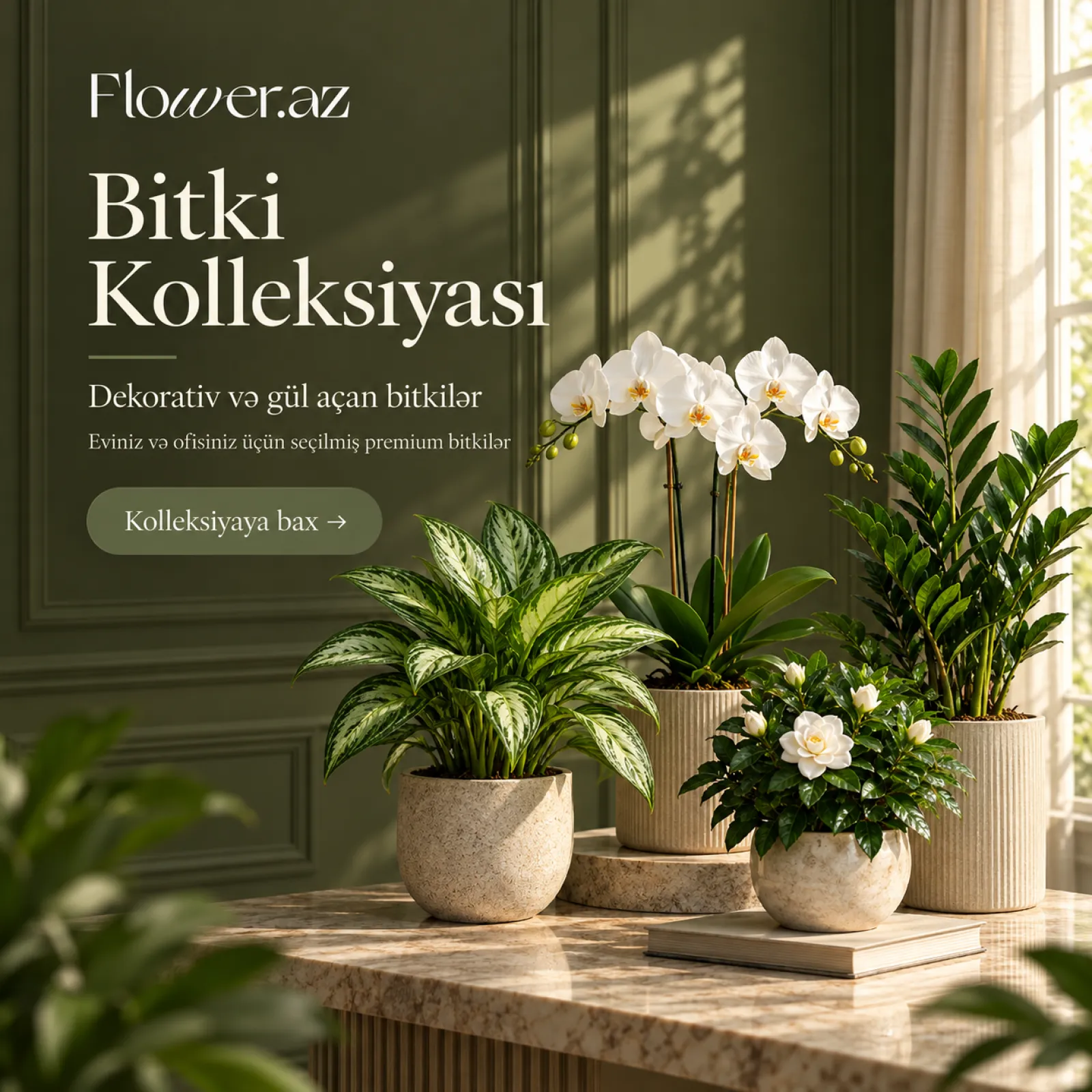 Bitkilər