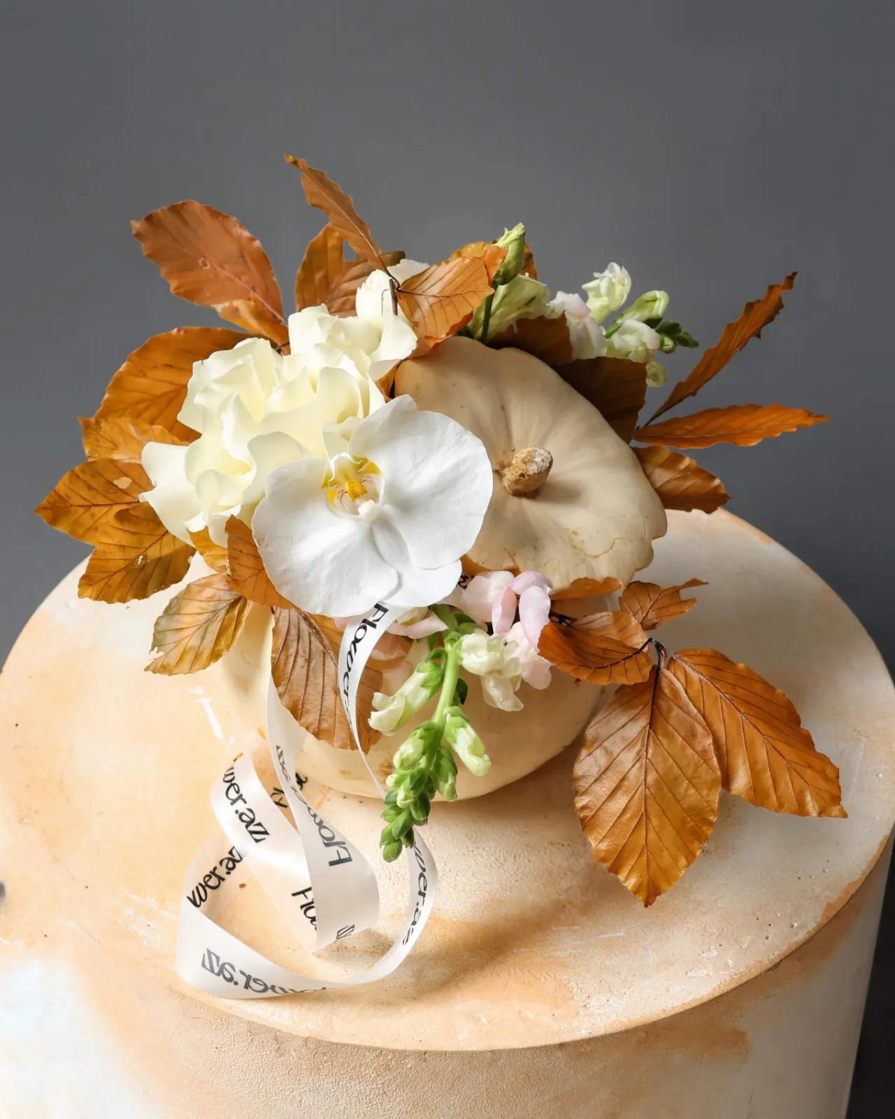 Ivory Autumn