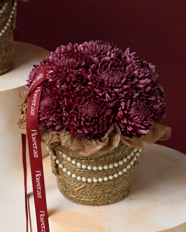 Burgundy Pearl (M)