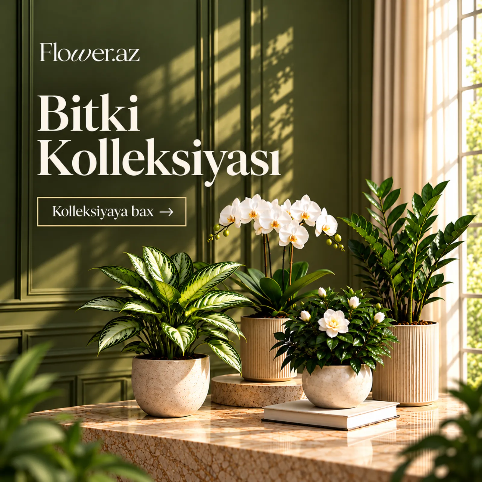 Bitkilər